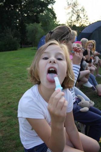IMG 0238