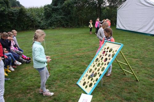 IMG 0310