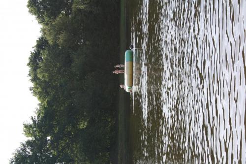 IMG 0354