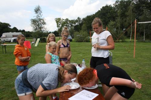 IMG 0592